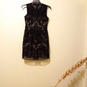 Baraschi Black Lace Embroidery Dress Size 0P Party Holiday Dark Feminine Goth